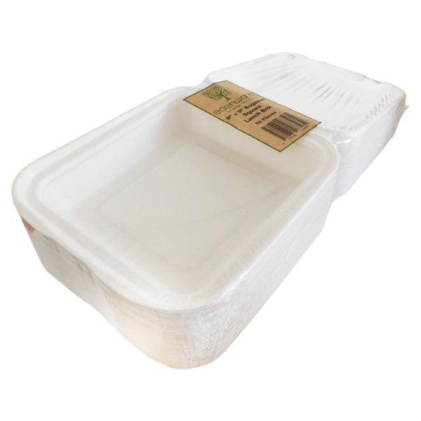 Edenware Bagasse Square Lunch Box Outer Carton 8in x 8in - Honesty Sales U.K