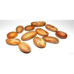 Bitter Kola Nut (Cola Nuts) Fresh Garcinia Kola Approx 3-5 Pieces - Honesty Sales U.K