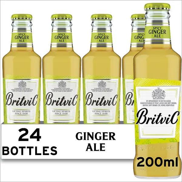 Britvic Spicy Ginger Ale Bottle 200ml (Case of 24) - Honesty Sales U.K