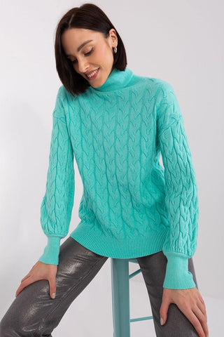 Turtleneck model 188312 AT