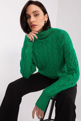 Turtleneck model 188312 AT