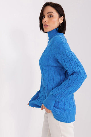 Turtleneck model 188312 AT