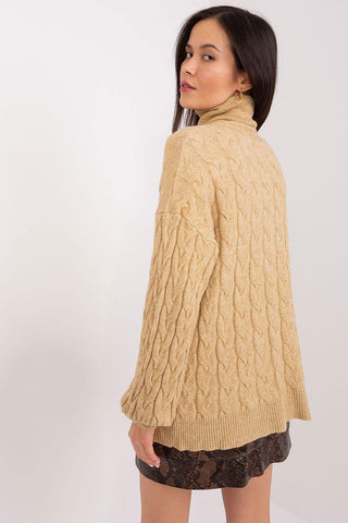 Turtleneck model 188312 AT