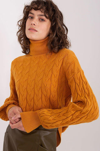 Turtleneck model 188312 AT