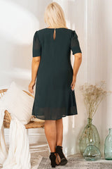 Plus size dress model 198153 Karko