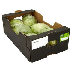 Farm Fresh Iceberg Lettuce (Case of 1) - Honesty Sales U.K