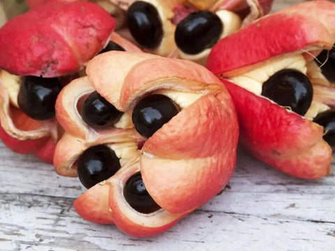 Tropical Sun Jamaica Ackee (540g) Grade 'A' Ackee - Honesty Sales U.K