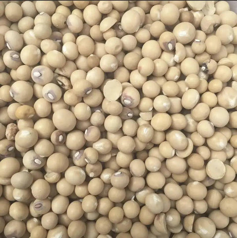 WHOLE OKPA SEEDS - Bambara Beans 1kg - Honesty Sales U.K